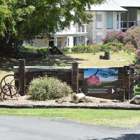 Apartamento Maleny Hinterland Escape Witta Exterior foto