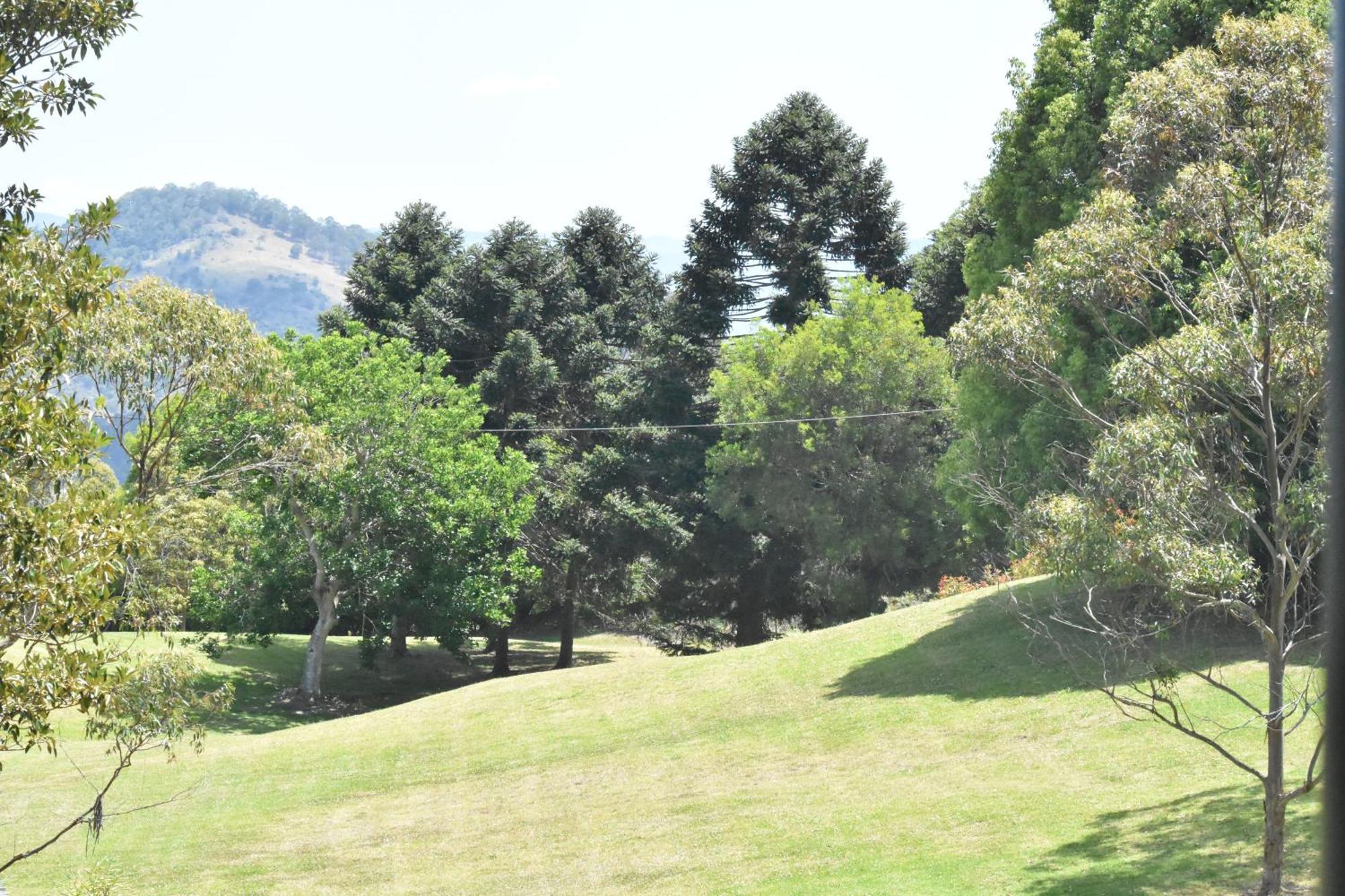 Apartamento Maleny Hinterland Escape Witta Exterior foto
