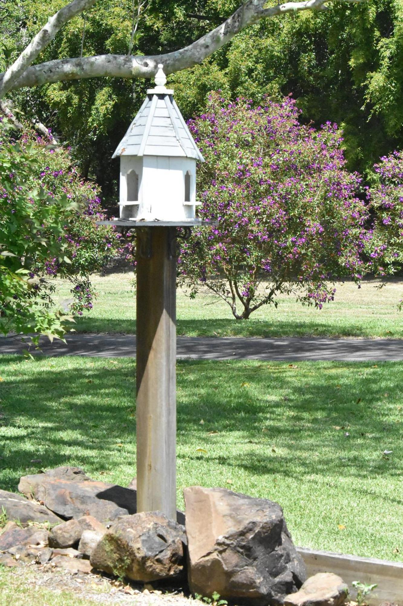 Apartamento Maleny Hinterland Escape Witta Exterior foto